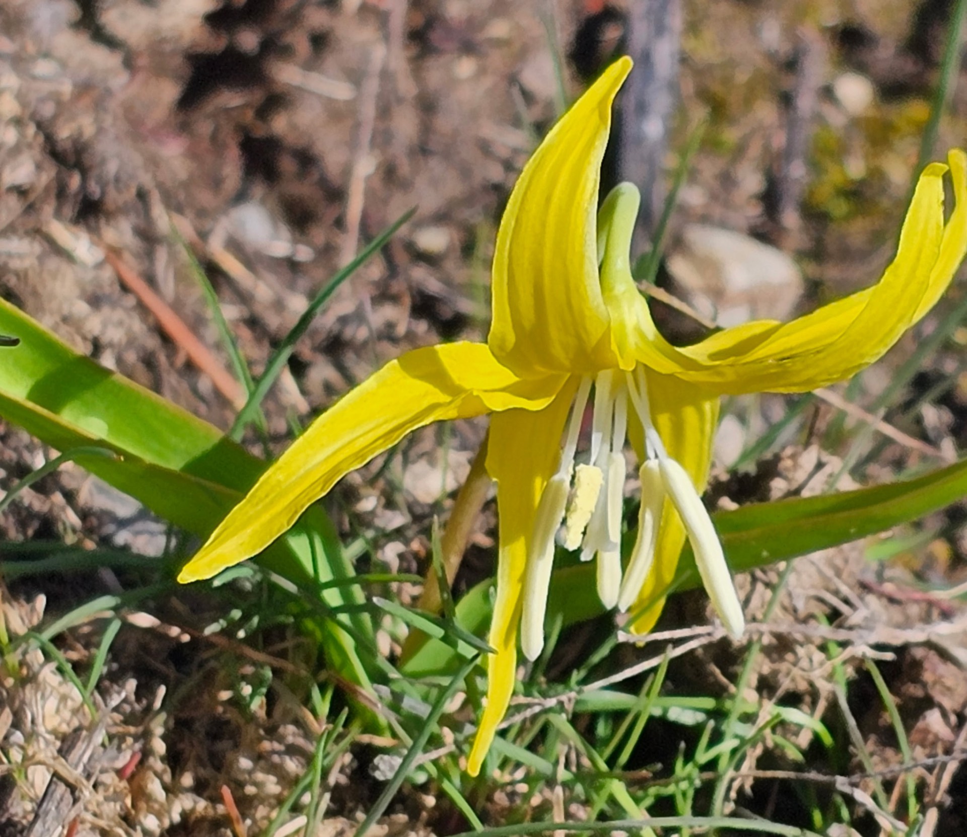 Nature photo from Traveler's R&R Recreation Ranch