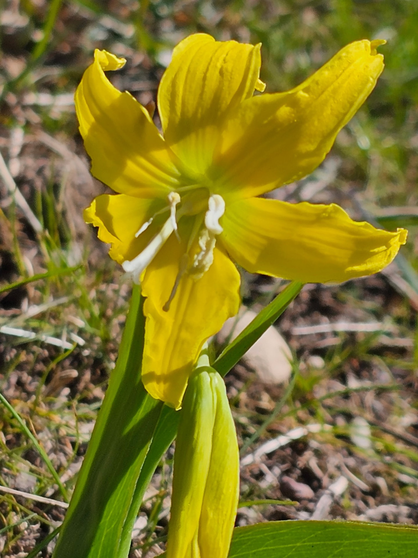 Nature photo from Traveler's R&R Recreation Ranch