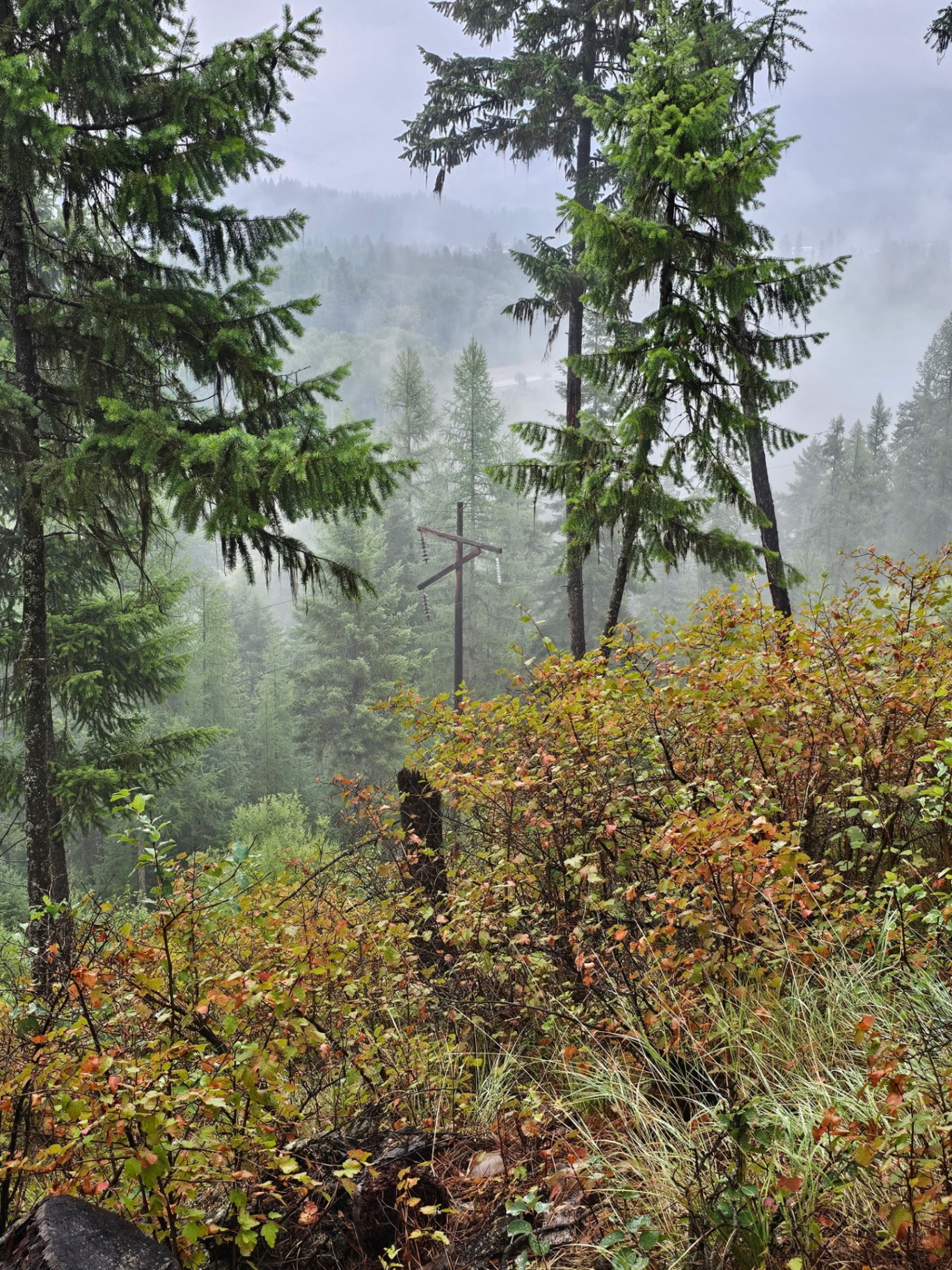Nature photo from Traveler's R&R Recreation Ranch