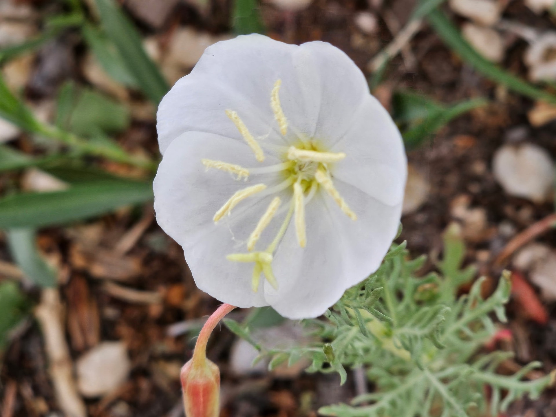 Nature photo from Traveler's R&R Recreation Ranch
