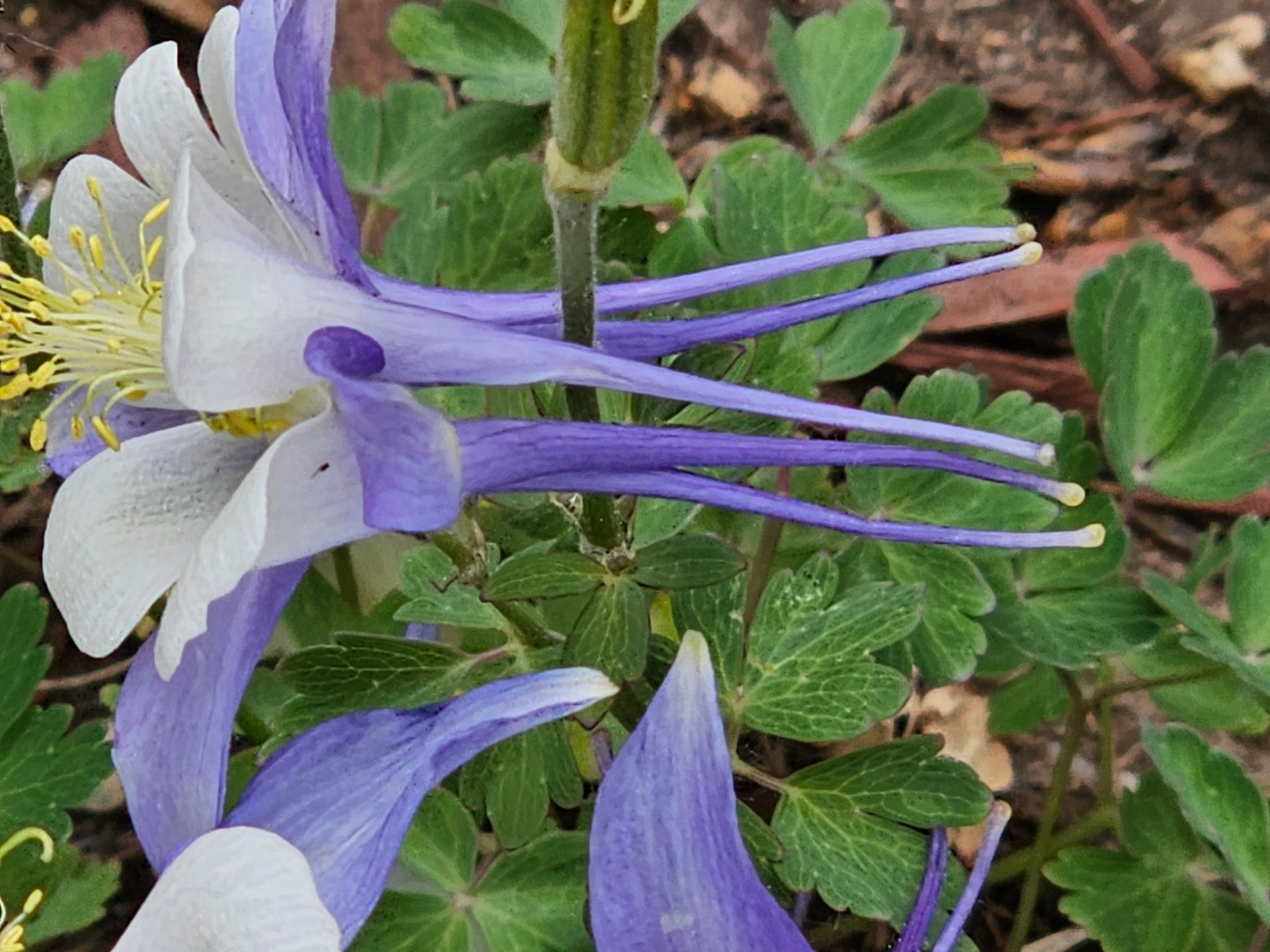 Nature photo from Traveler's R&R Recreation Ranch