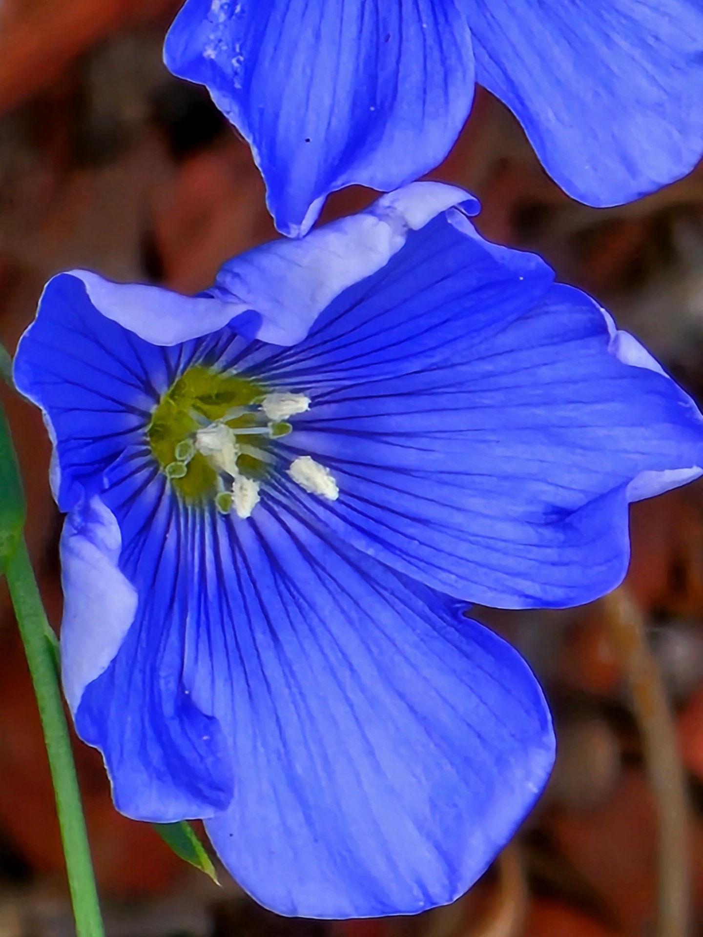 Nature photo from Traveler's R&R Recreation Ranch