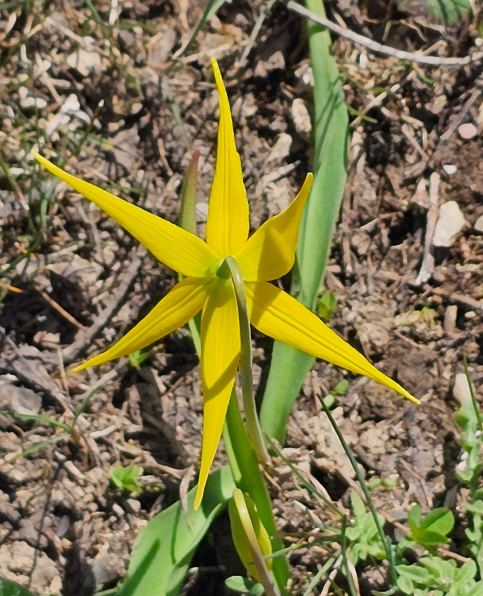 Nature photo from Traveler's R&R Recreation Ranch