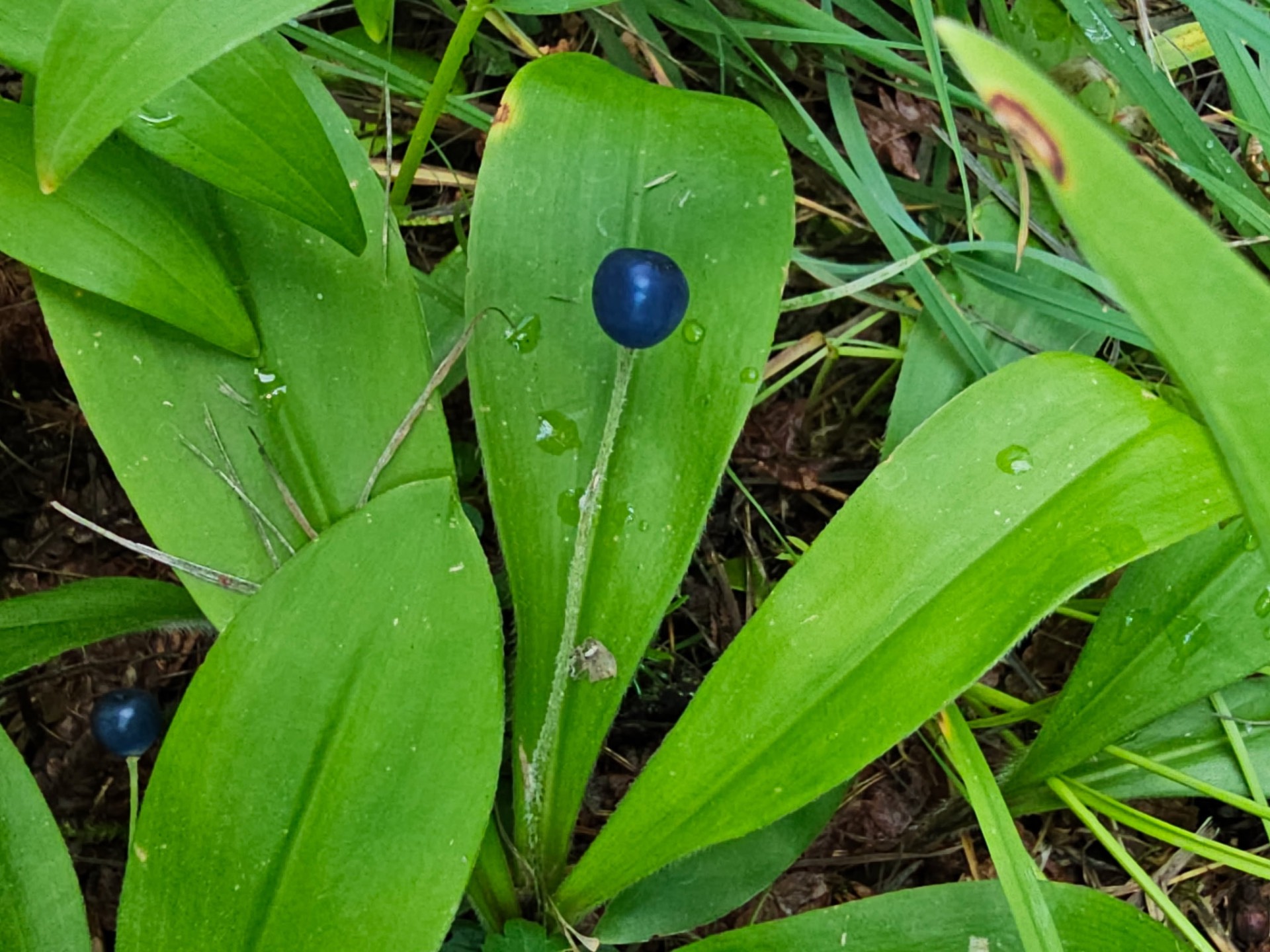 Nature photo from Traveler's R&R Recreation Ranch