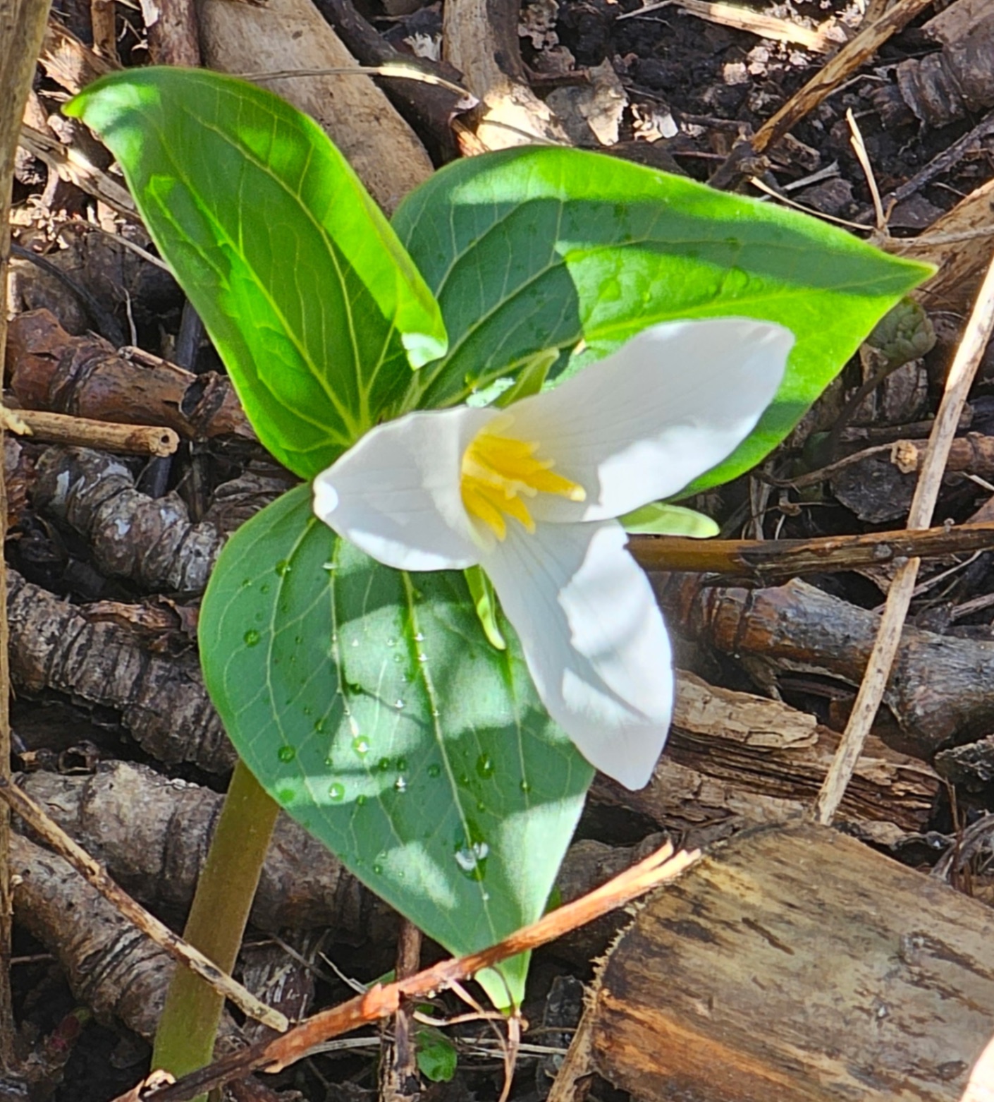 Nature photo from Traveler's R&R Recreation Ranch