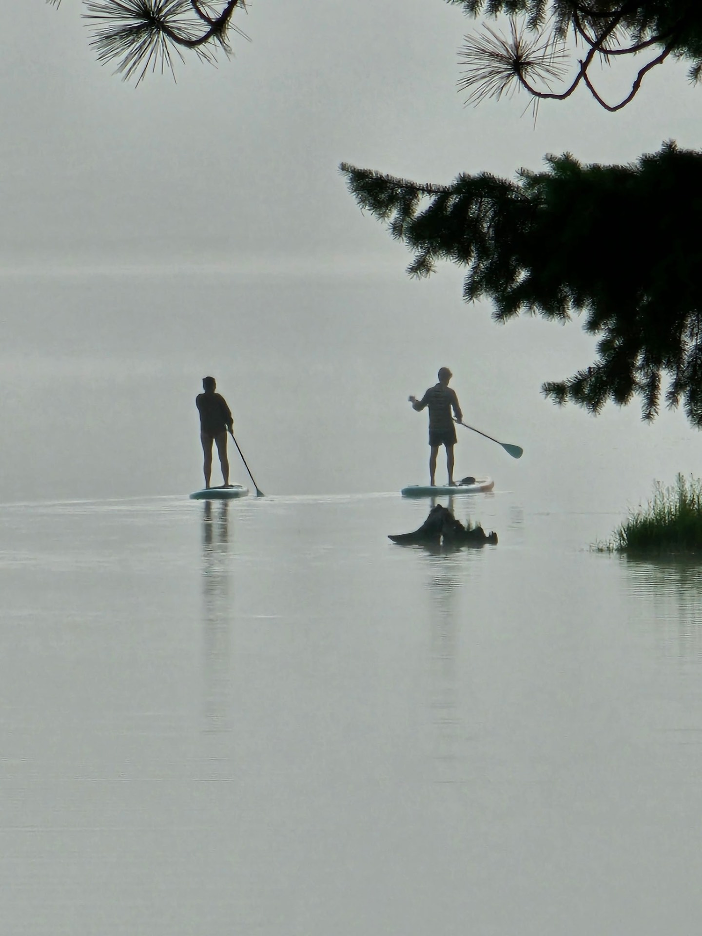 Day Camp at Traveler's R&R Recreation Ranch
